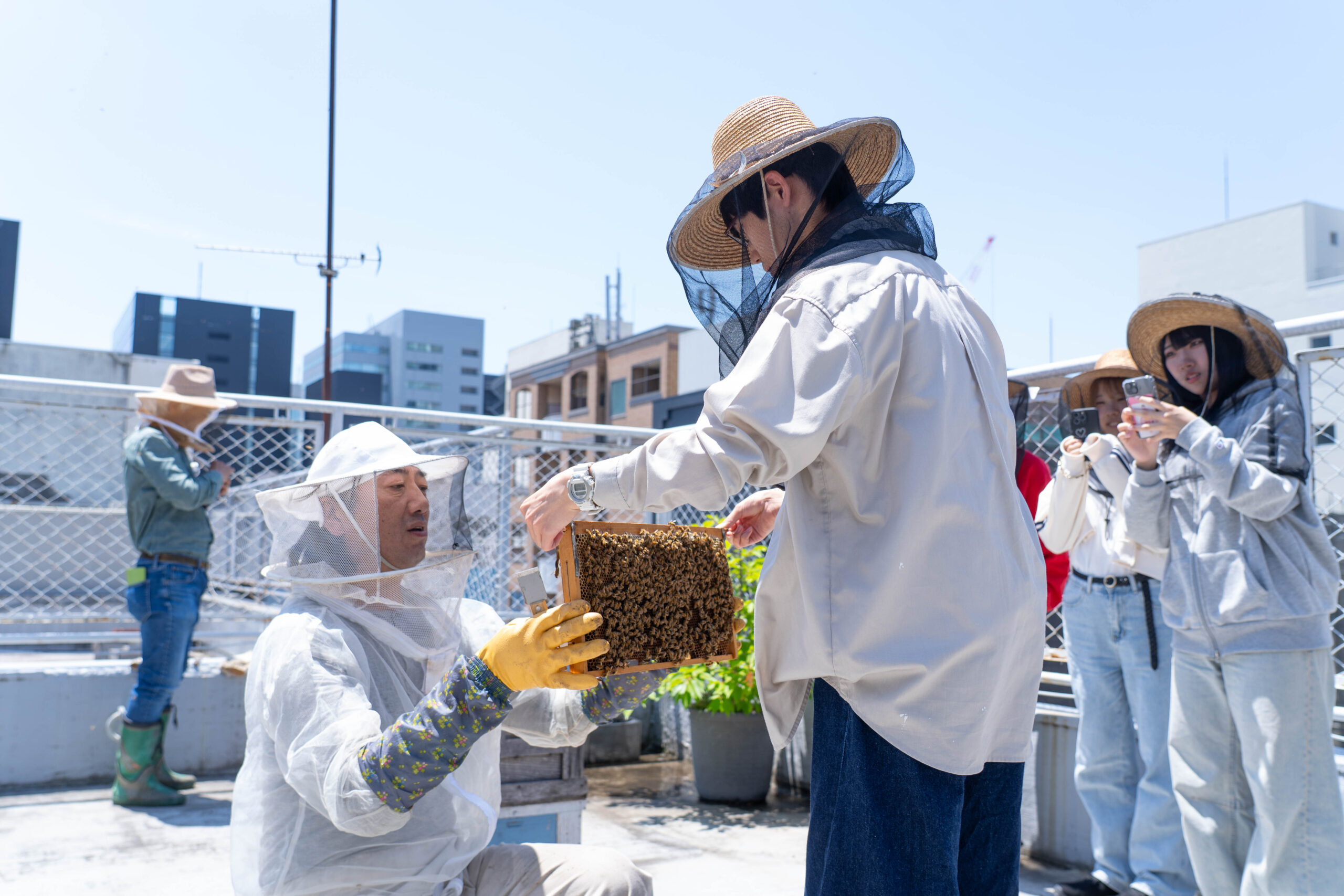 名古屋ビジネスアカデミーの学生の皆さんが都市養蜂を体験